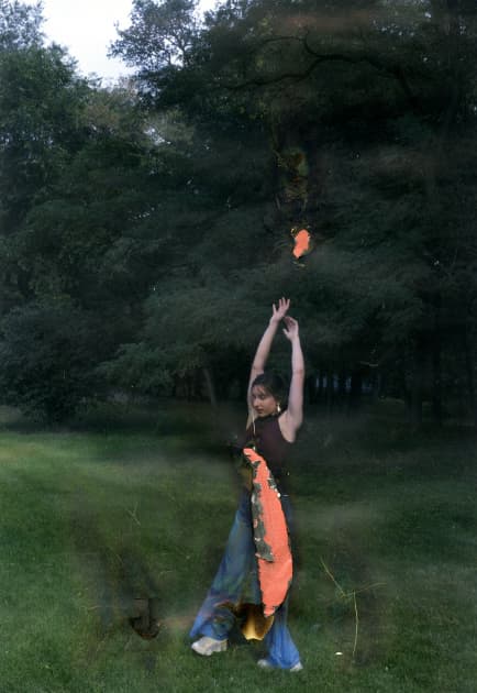 artwork Anastasia Antonenko - - Down In Flames