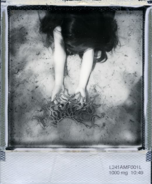 artwork Anastasia Antonenko - - Medusa
