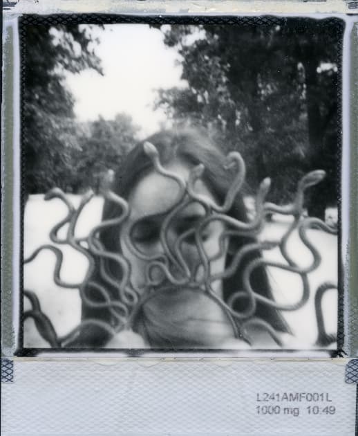 artwork Anastasia Antonenko - - Medusa