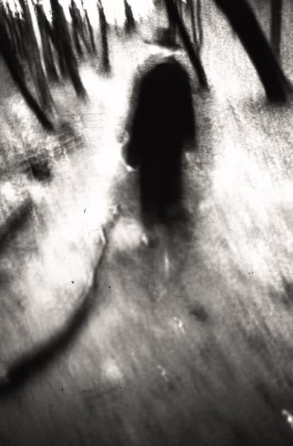 artwork Anastasia Antonenko - - Phantom