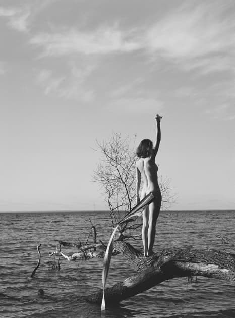 artwork Toma Magdyk -  - A Twisted Story