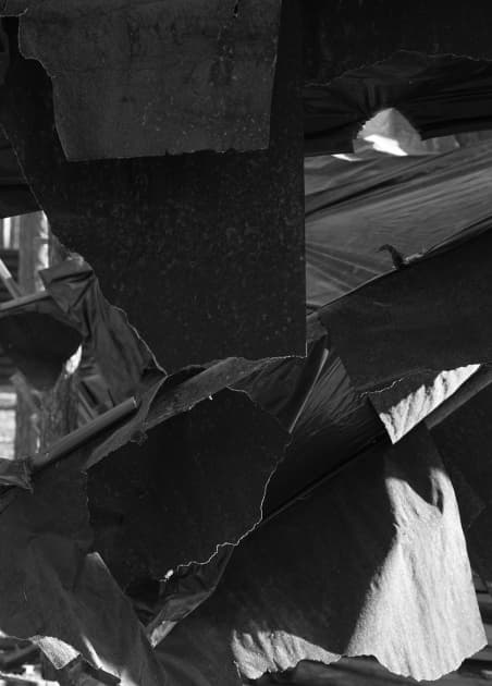 artwork Toma Magdyk -  - A Twisted Story
