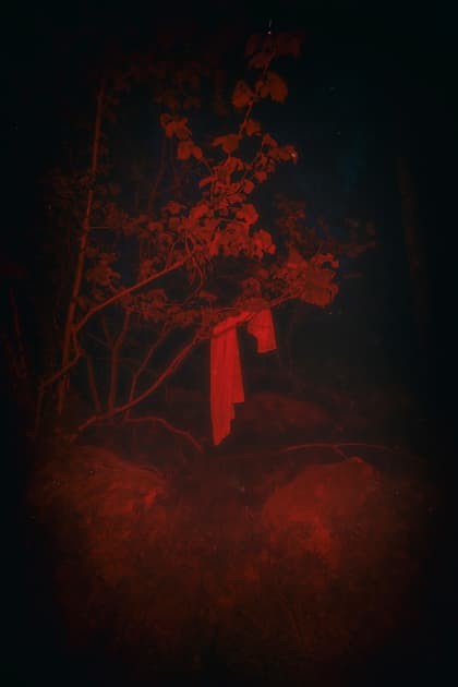 artwork Anna Biletska -  - Between the Lives