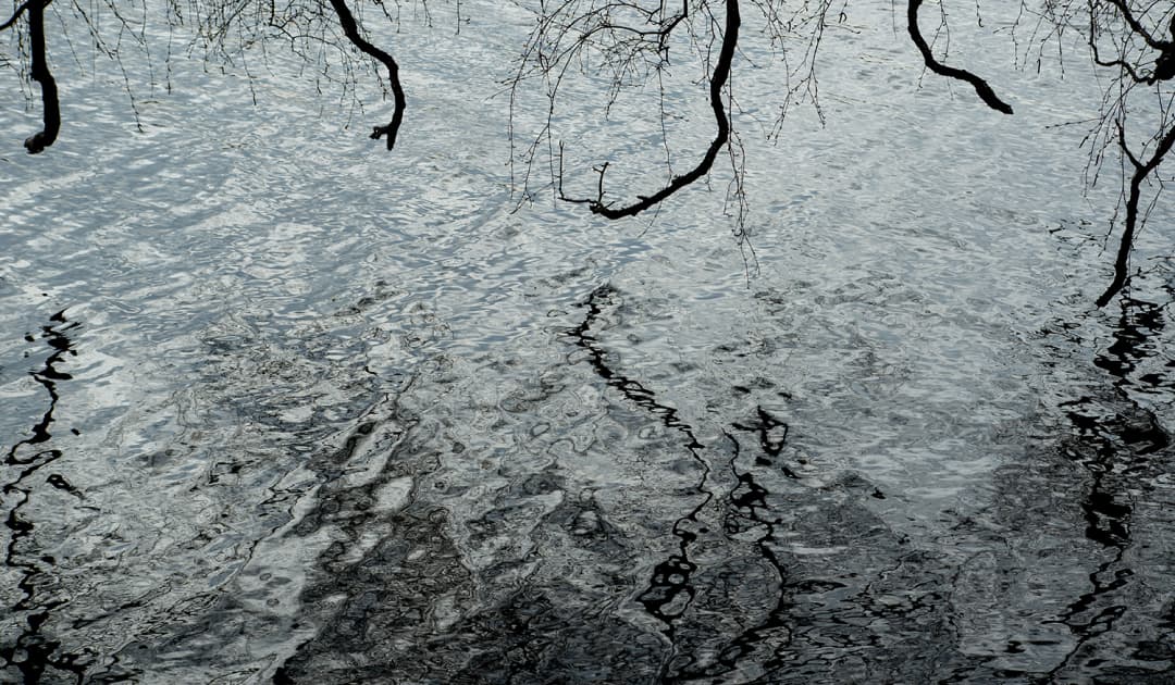 artwork Anna Biletska -  - Nature Art