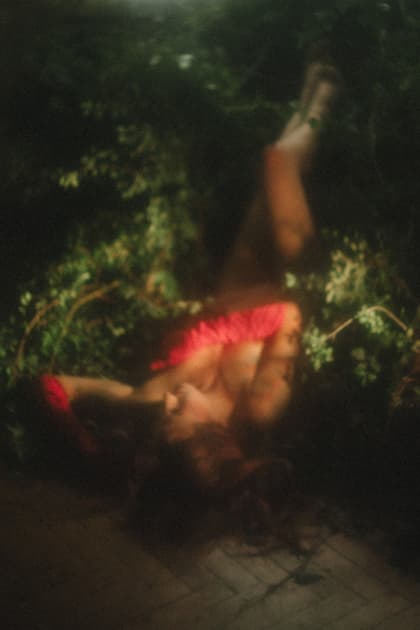 artwork Natalka Yavorska -  - Physicality in the art of nature