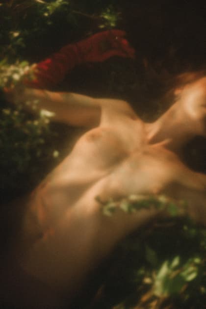 artwork Natalka Yavorska -  - Physicality in the art of nature