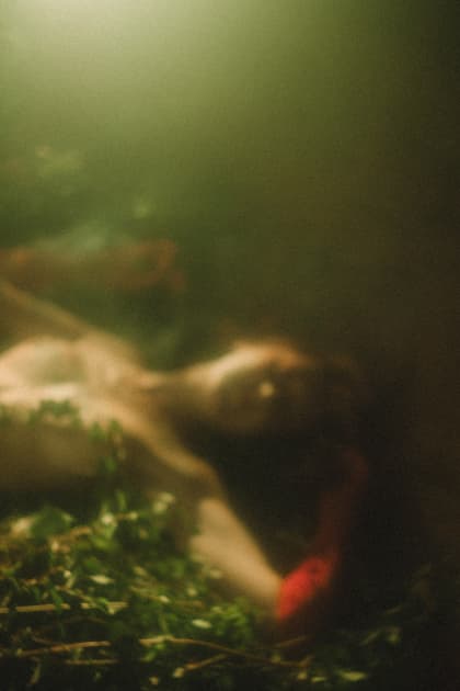 artwork Natalka Yavorska -  - Physicality in the art of nature