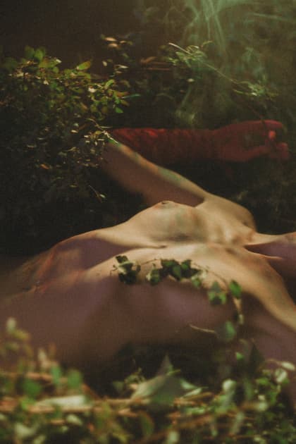 artwork Natalka Yavorska -  - Physicality in the art of nature