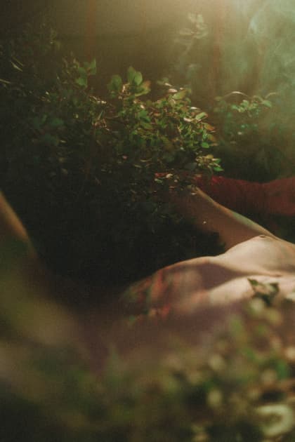 artwork Natalka Yavorska -  - Physicality in the art of nature