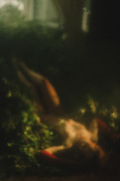 artwork Natalka Yavorska -  - Physicality in the art of nature