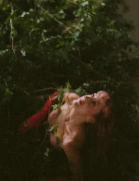 artwork Natalka Yavorska -  - Physicality in the art of nature