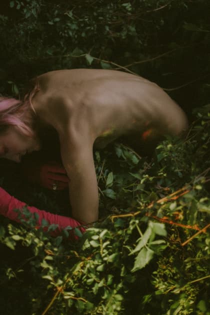 artwork Natalka Yavorska -  - Physicality in the art of nature