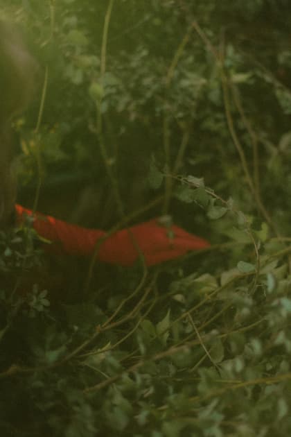 artwork Natalka Yavorska -  - Physicality in the art of nature
