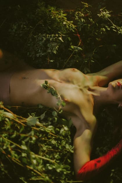 artwork Natalka Yavorska -  - Physicality in the art of nature