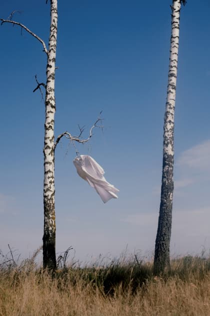 artwork Anya Nedobeiko -  - Selected works from unfinished series