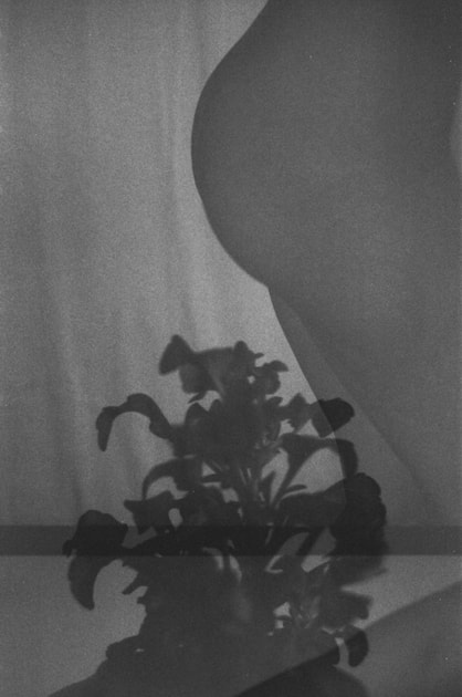 artwork Iryna Vlasiuk - Eclipse