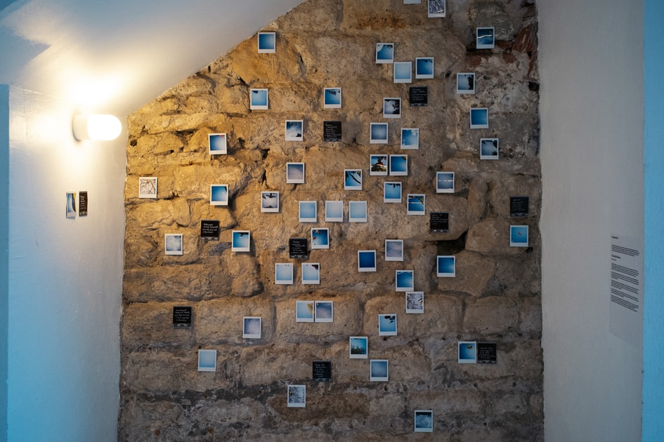 exhibition In the same air - виставка MYPH