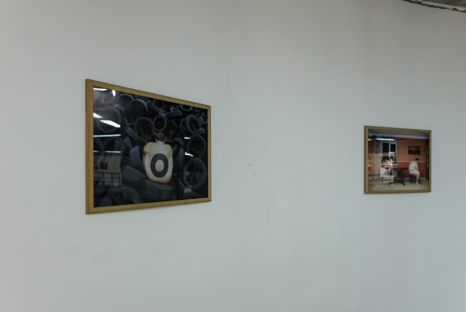 Велетень Артема Гумілевського в колекції Тетяни та Бориса Гриньових