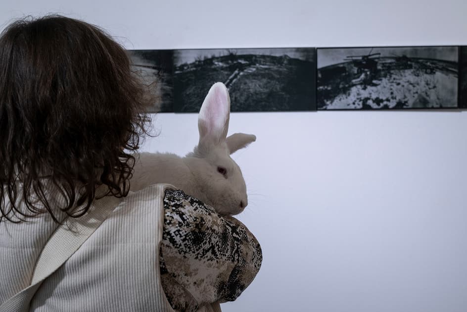 Виставка переможниць та переможців конкурсу MYPH PHOTOGRAPHY PRIZE 2024 в Асортиментній Кімнаті